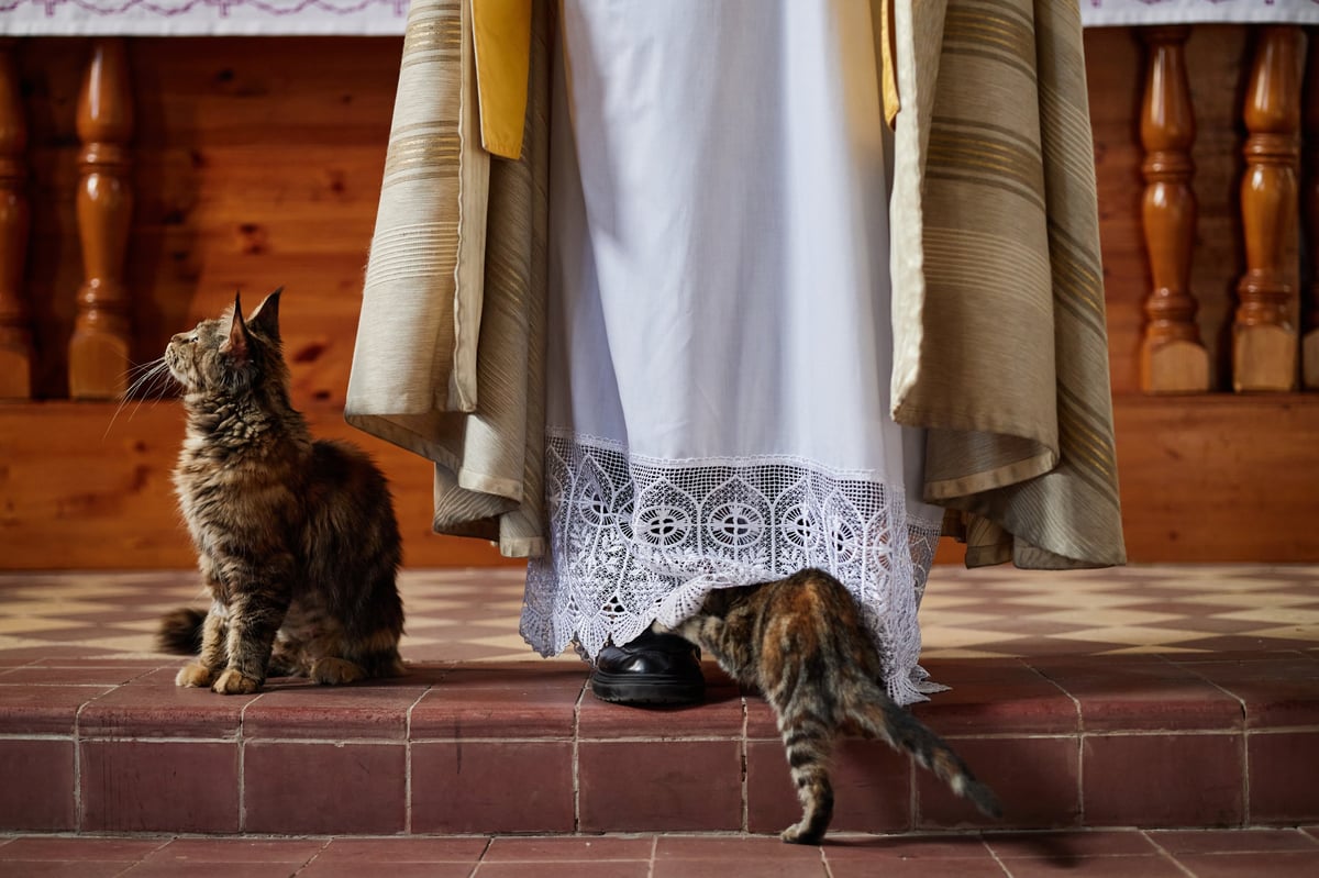 Man standing in church wearing religious vestments, two domestic cats interacting near his feet on tiled floor, wooden altar visible in background