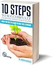 Book cover for 10 Steps to Successfully Launching Your Church Plant showing hands holding soil with a green plant seedling